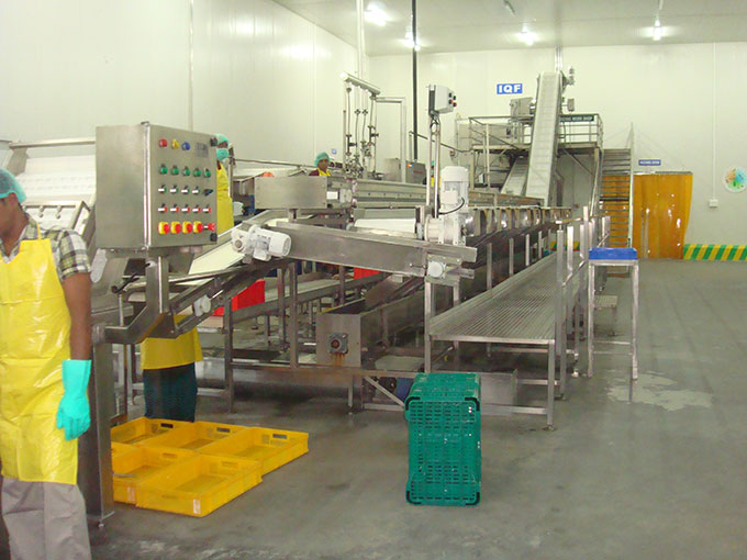 Food Processing Machinery