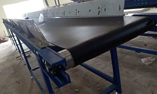 Inspection or Sorting Conveyor